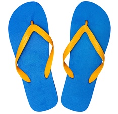 Flip Flops - Virtual Purchase Item